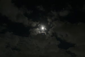 名古屋の満月