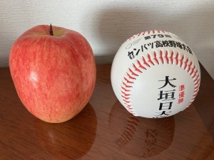 スリムレッドと硬式ボール スリムレッドと硬式ボール